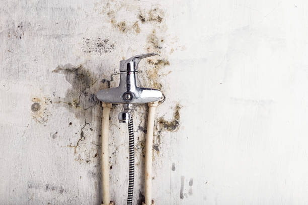 Best Emergency Mold Remediation in Mounds, OK