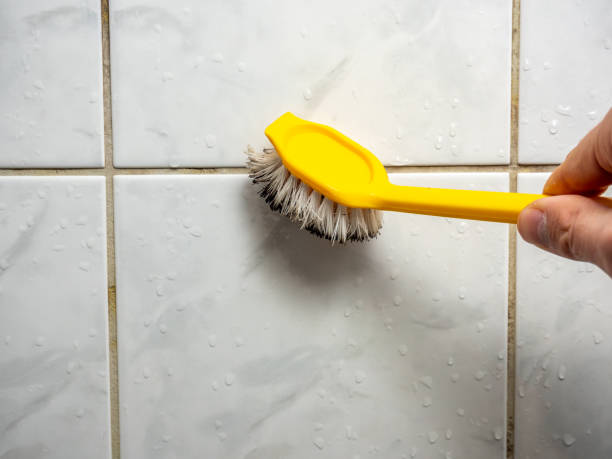 Best Mold Testing and Inspection Services in Mounds, OK