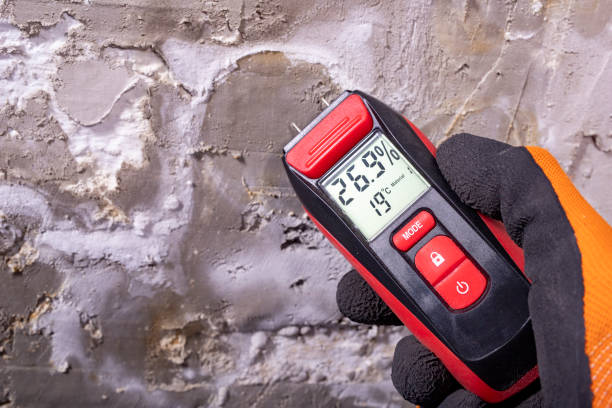 Best White Mold Remediation in Mounds, OK