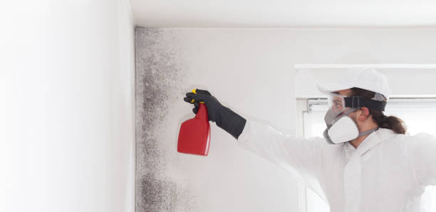Best Industrial Mold Remediation in Mounds, OK