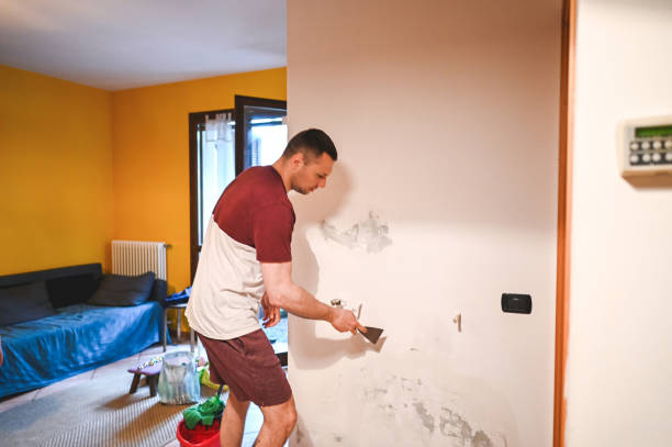 Best Basement Mold Remediation in Mounds, OK